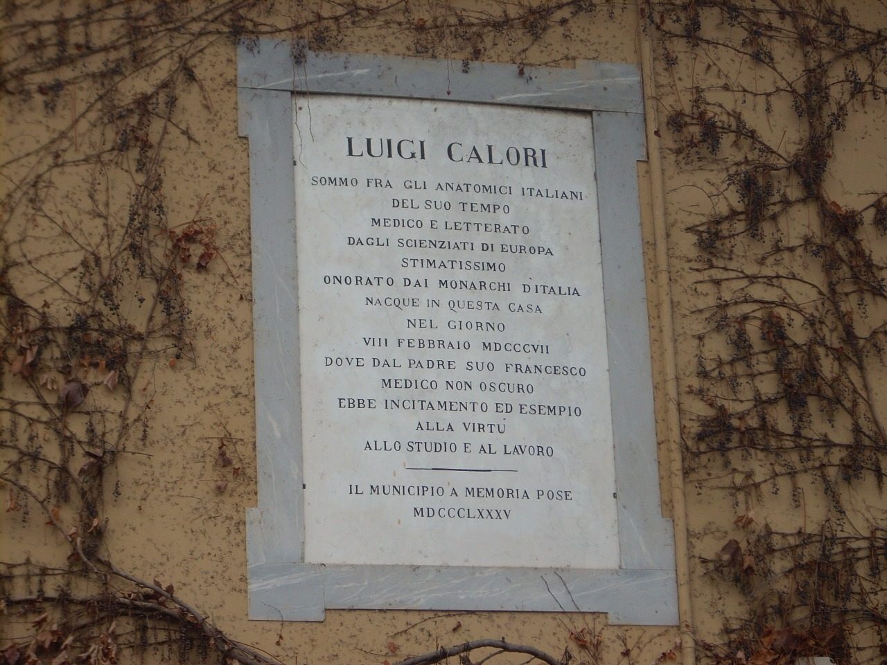 Luigi Calori's birthplace, San Pietro in Casale - 03.JPG